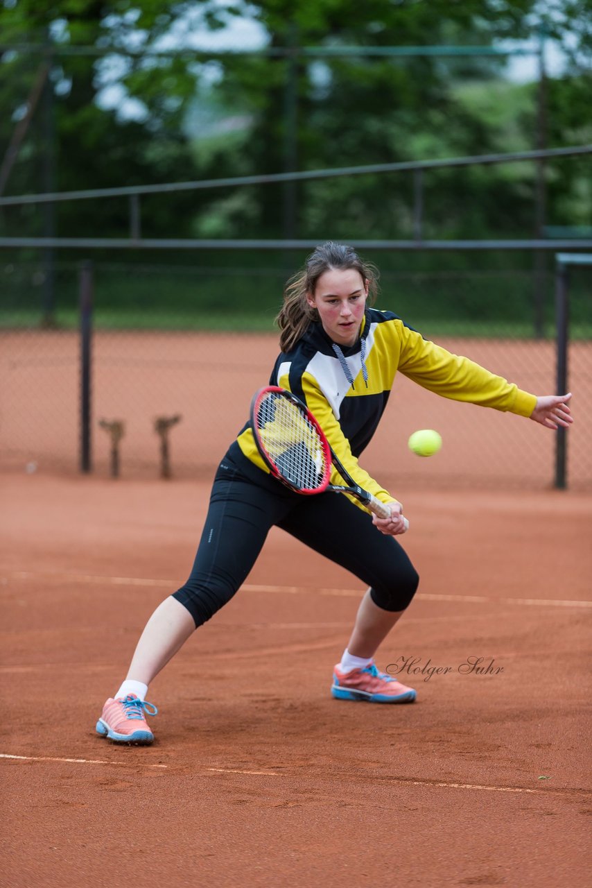 Bild 213 - NL VfL Westercelle - SVE Wiefelstede : Ergebnis: 8:1